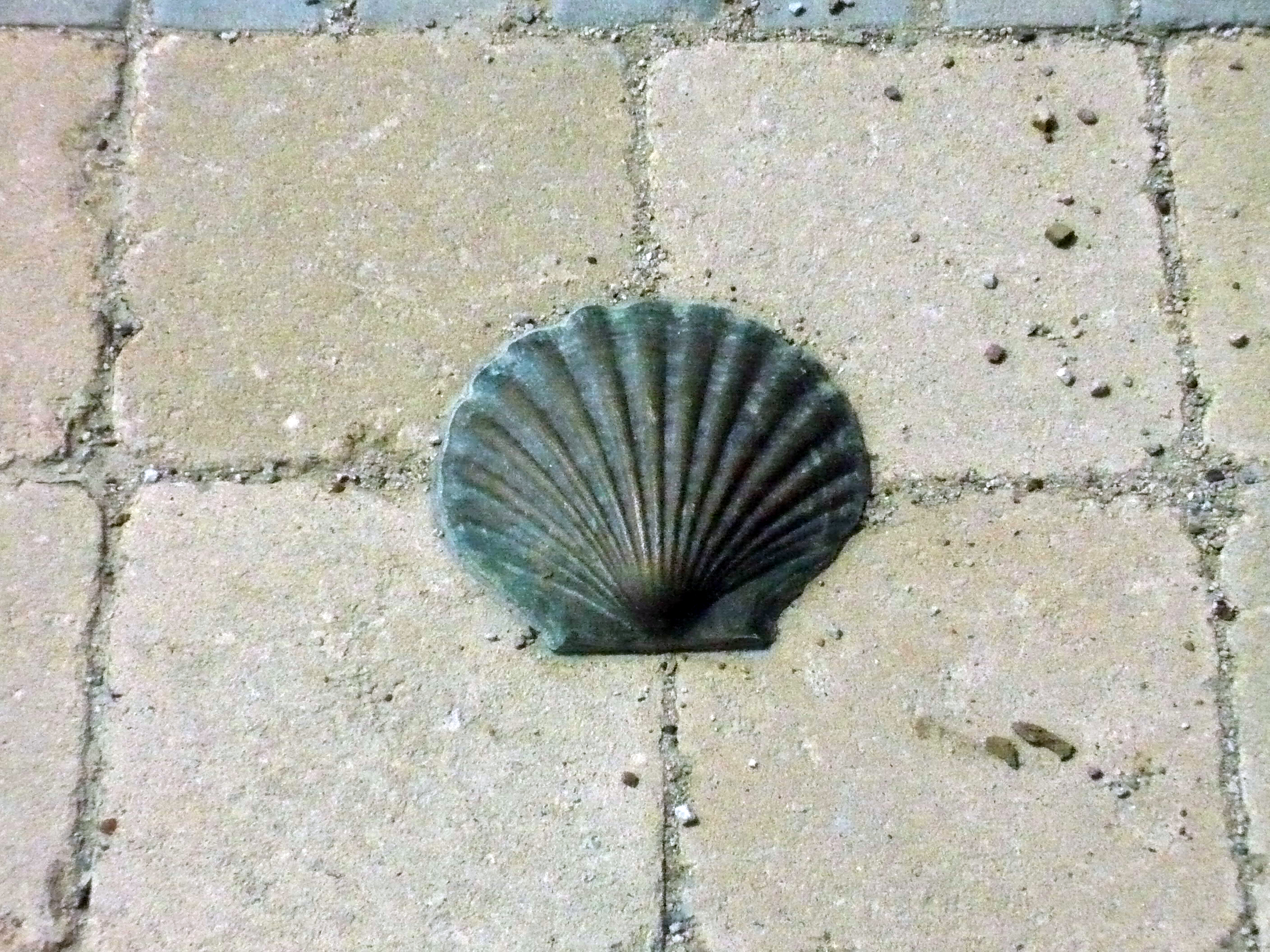 jw 05 20