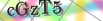 default Security Image